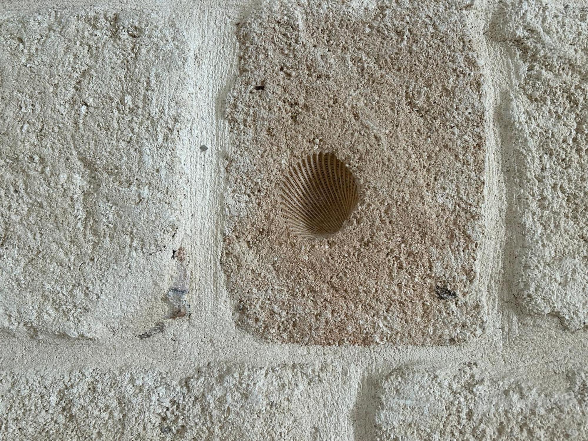 Apartmán Casa Rosaria Monopoli Exteriér fotografie